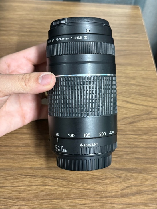 Canon Other - Canon EF 75-300mm f/4-5.6 III Telephoto Zoom Lens - Great Condition!